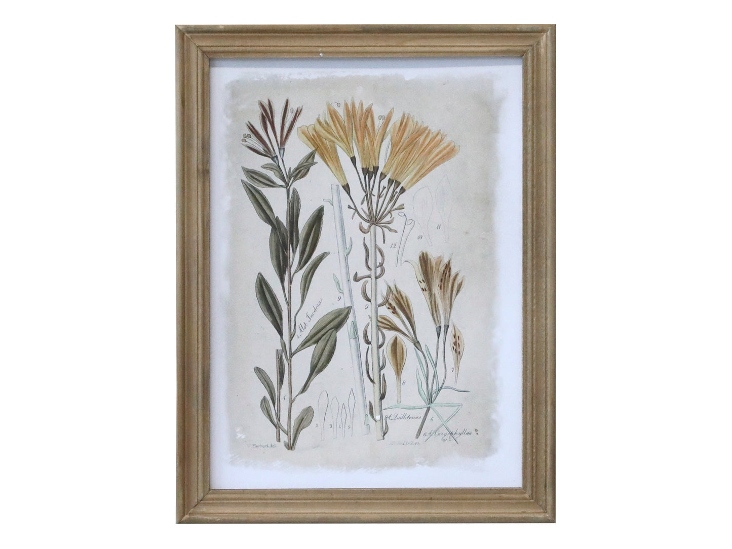 Picture with Floral print - Generosa Home & Living