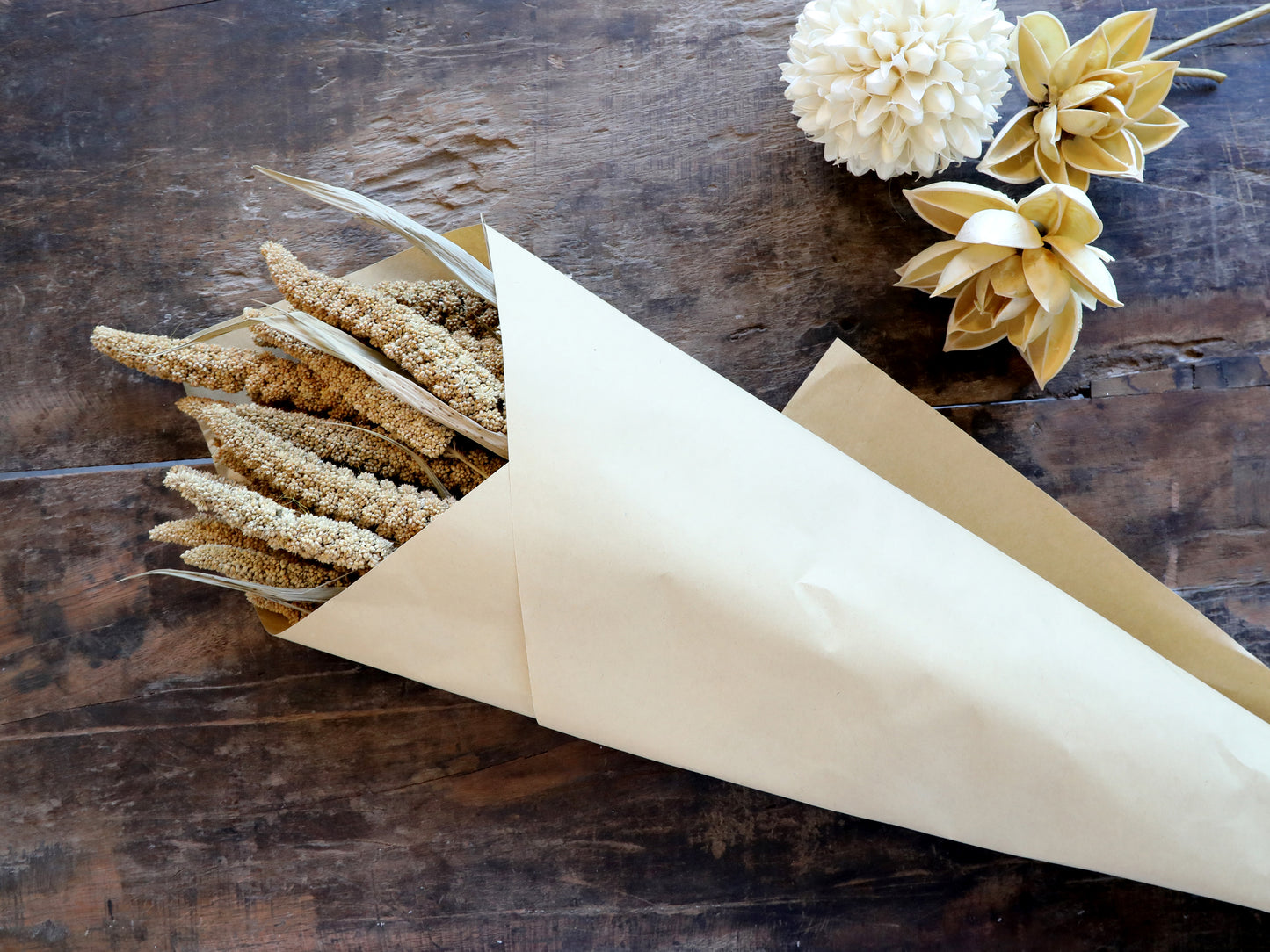 Fleur dried Seterea Flowers