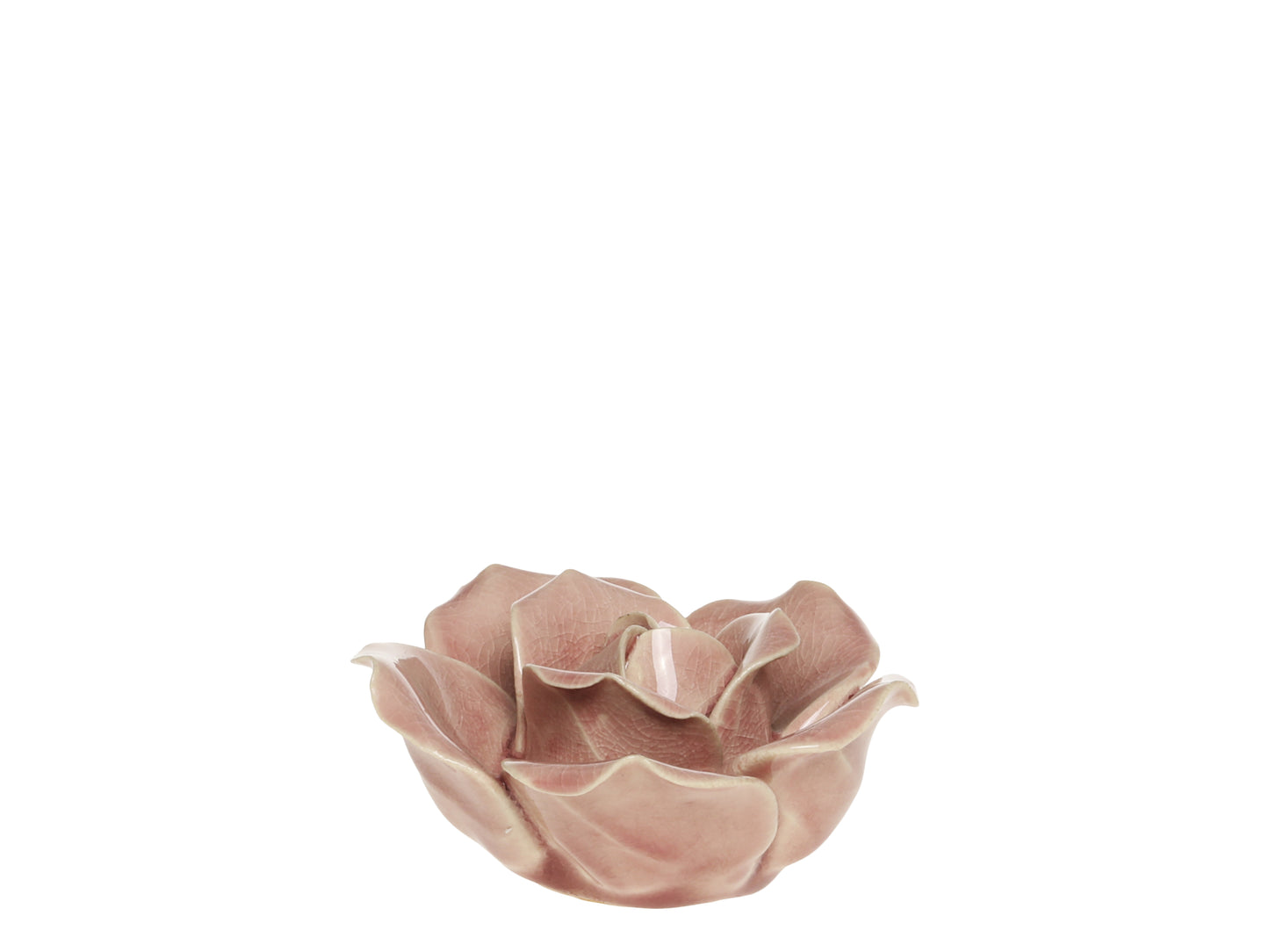 Rose for Deco H4.5 - Generosa Home & Living