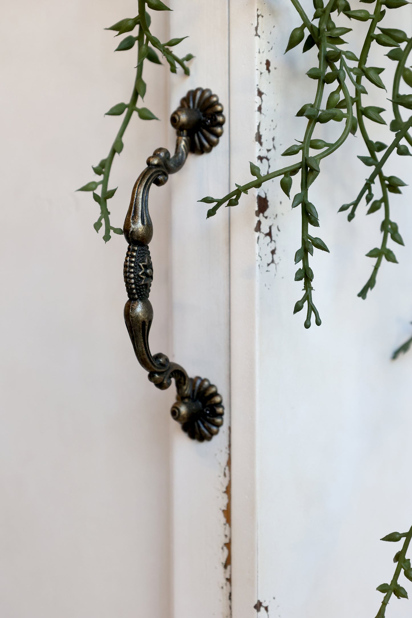 Wall Cabinet - Generosa Home & Living