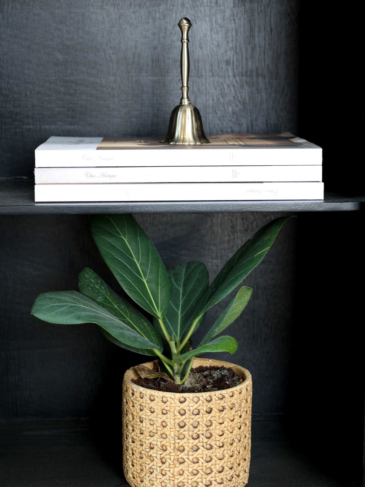 Brass bell with handle - Generosa Home & Living - -