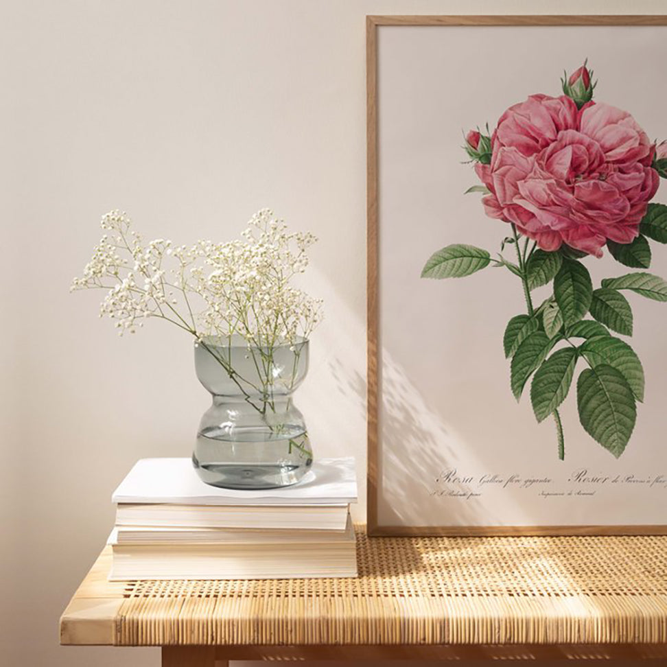 Generosa Home and Living Reproduction of a botanical drawing from the book "les roses" published in 1817 and illustrated by the famous painter and botanist pierre-joseph redouté.