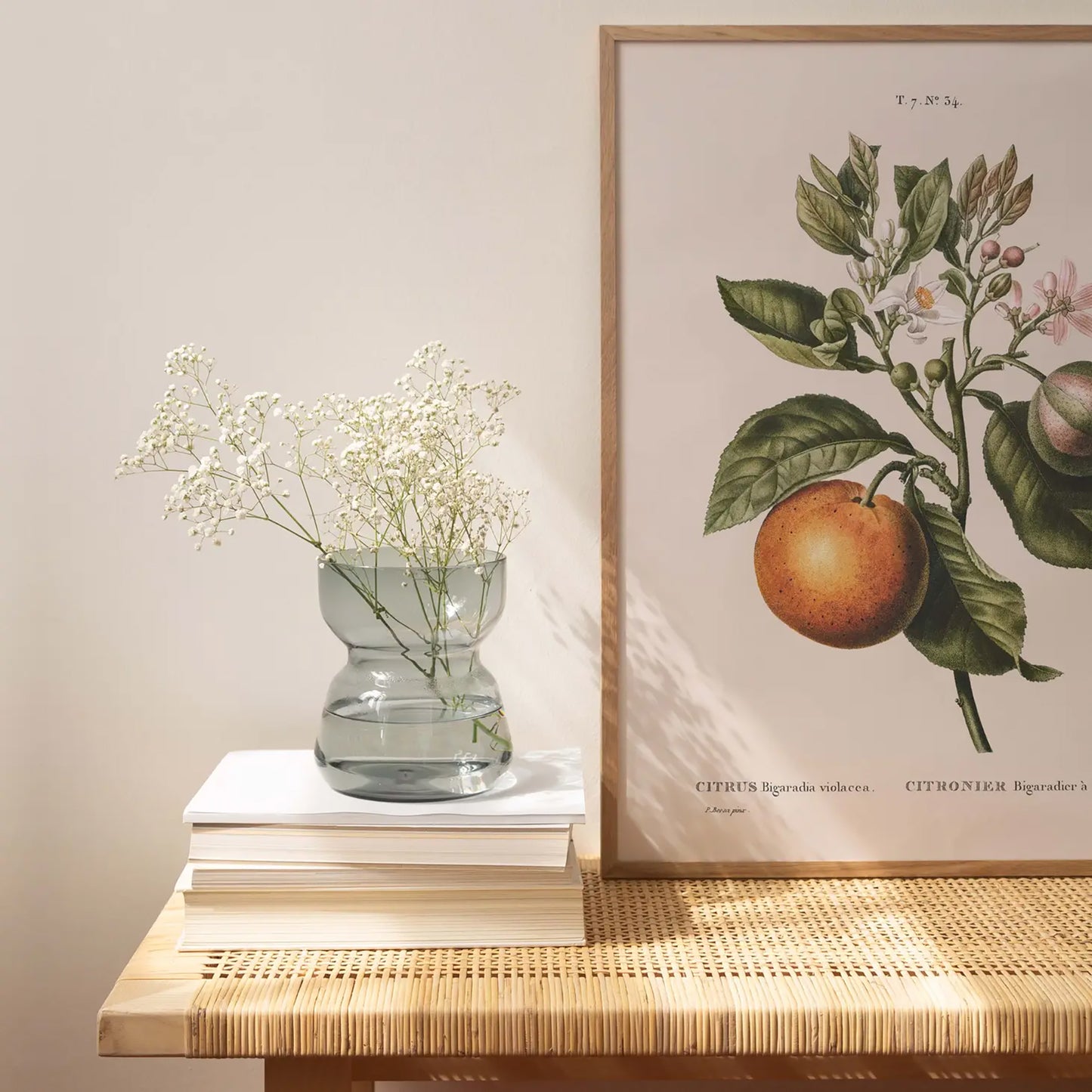 Reproduction of a botanical drawing from the book "traité des arbres et arbustes que l'on cultive en france en pleine terre" published in 1801 and illustrated by the famous painter and botanist pierre-joseph redouté. Generosa Home and Living