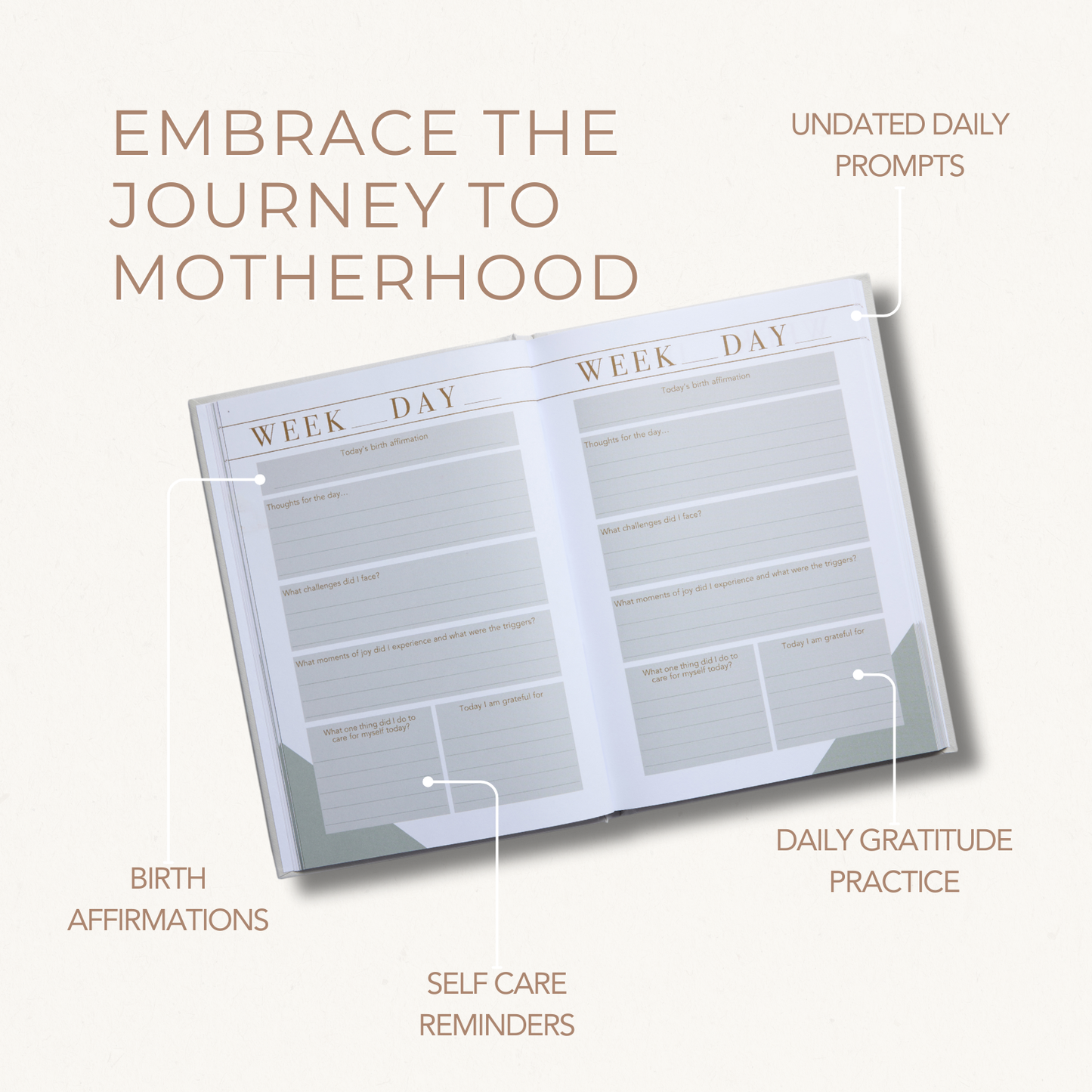 Product packaging for a pregnancy or motherhood tracker with text on a white background