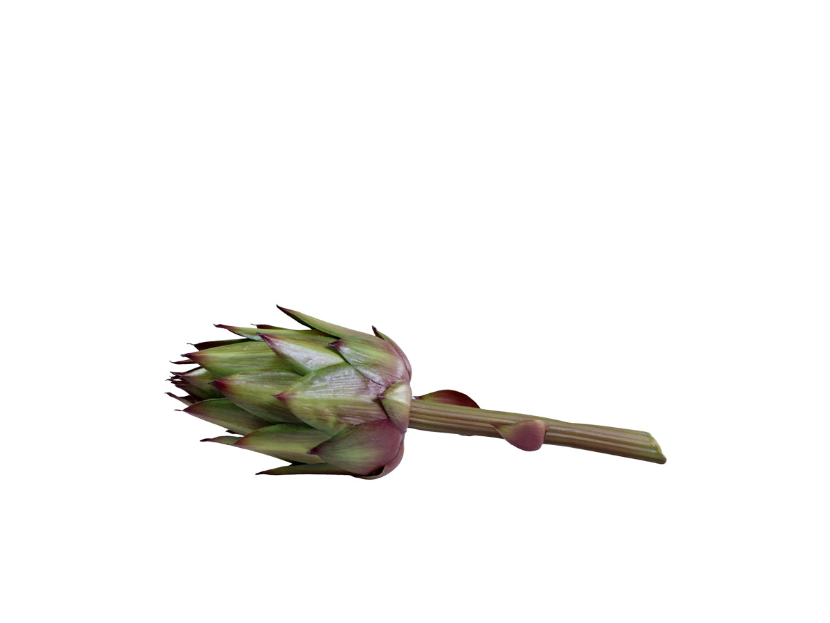 Fleur Artichoke- Long stem green - Generosa Home & Living