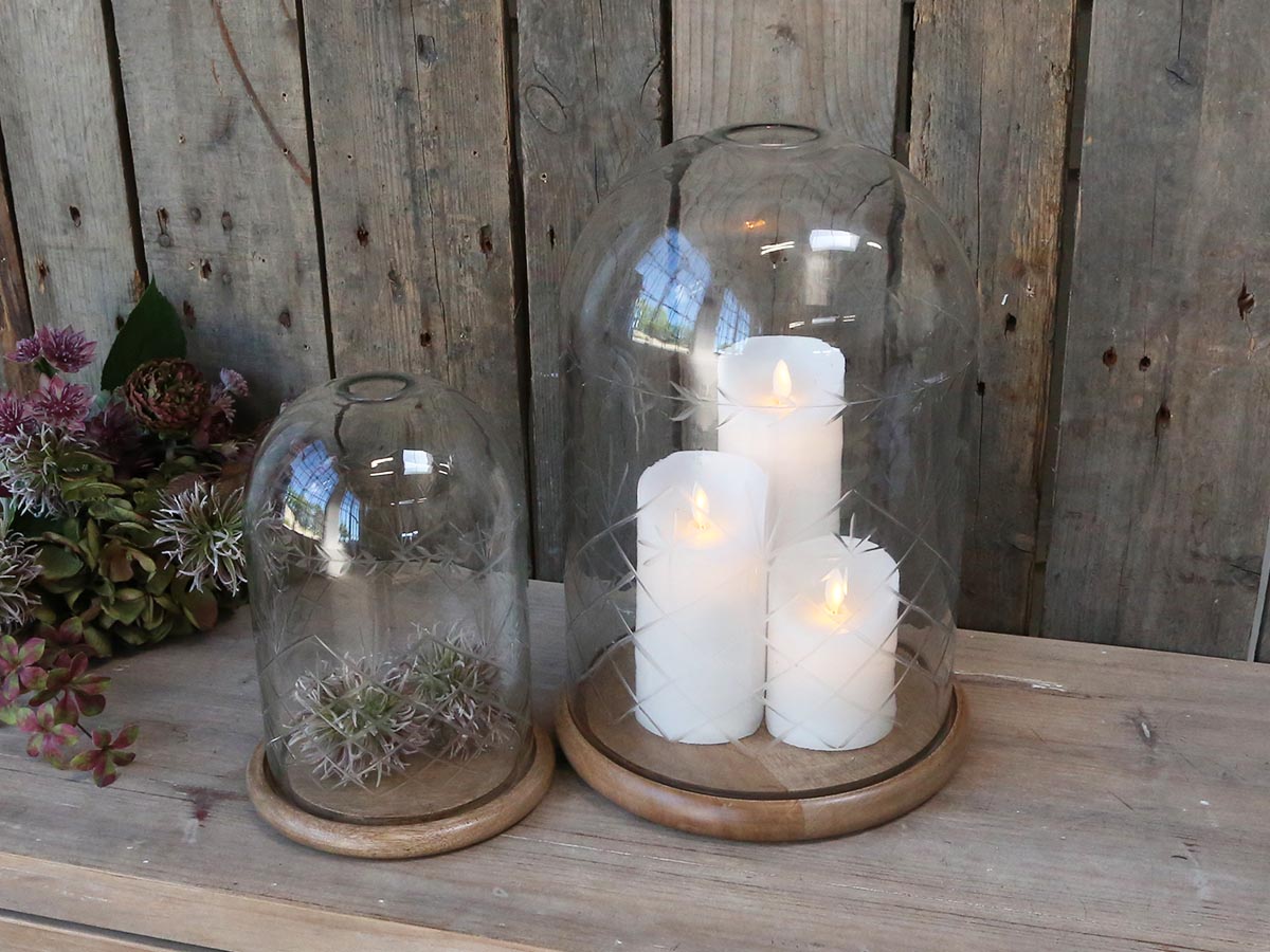 Glass Dome with Etching freeshipping - Generosa