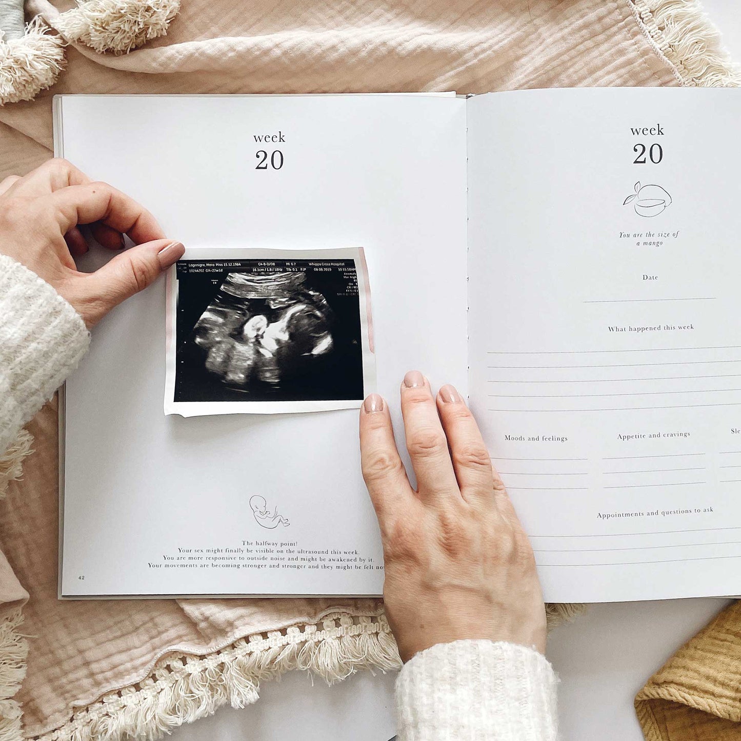 Pregnancy Journal - Generosa Home & Living