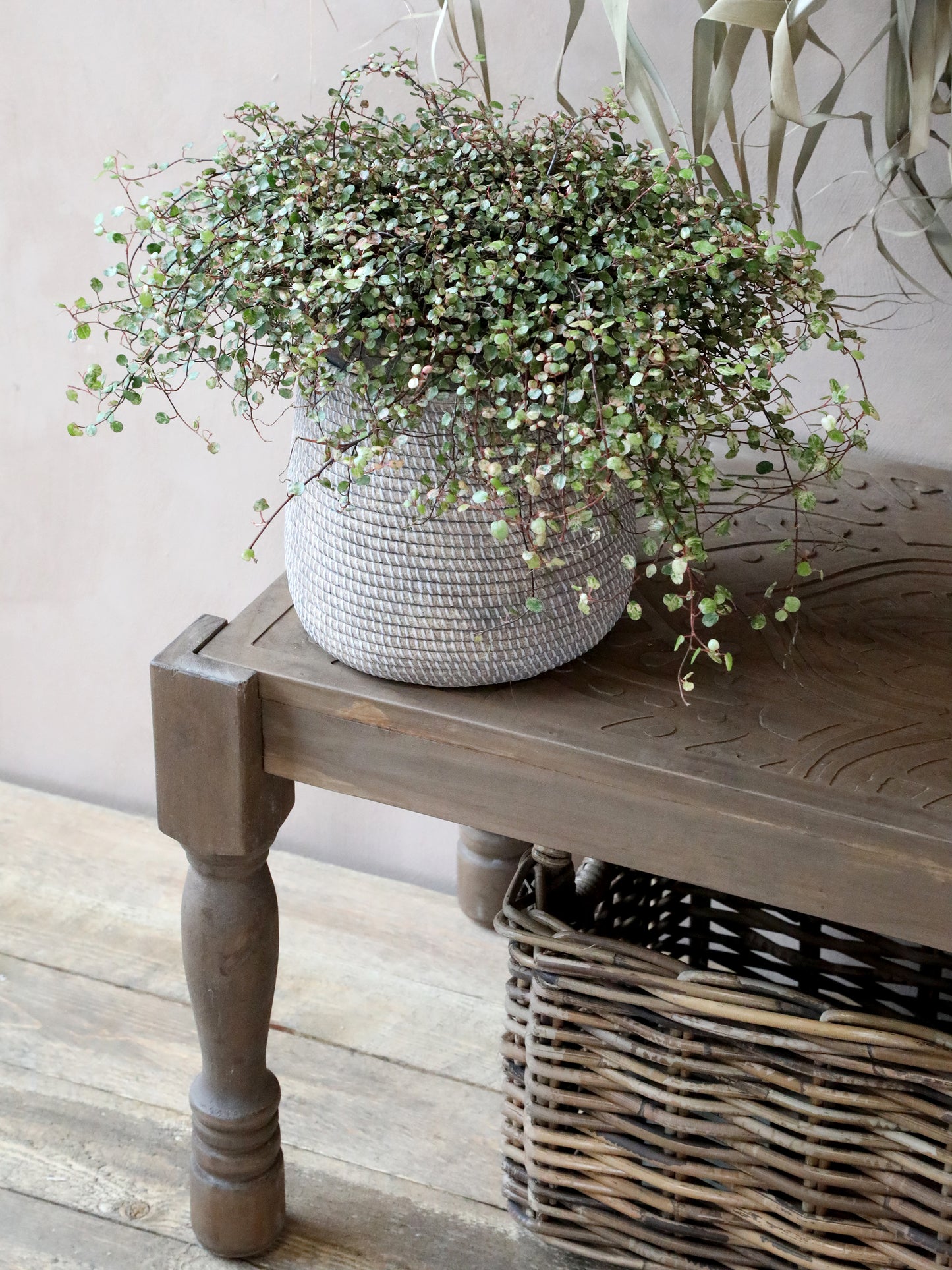 Bench With Carvings freeshipping - Generosa