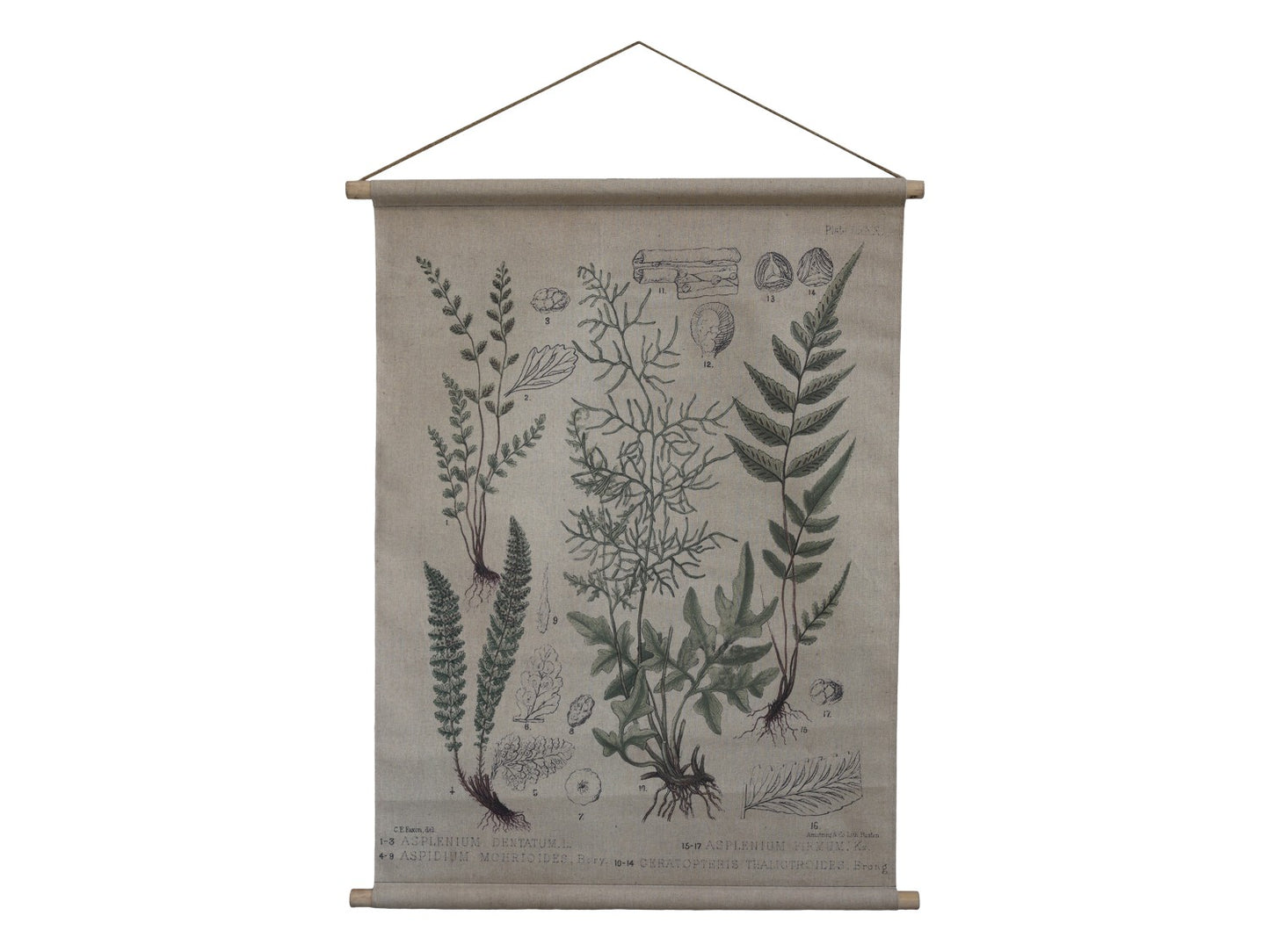 Hanging Canvas Print with Wooden Poles freeshipping - Generosa