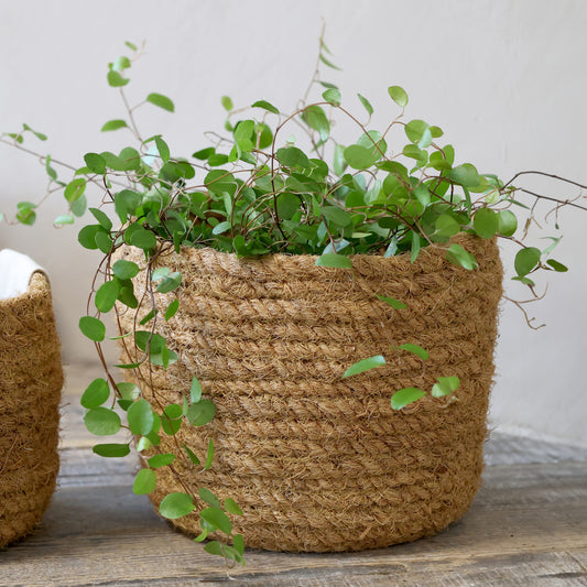 Wicker Basket H18