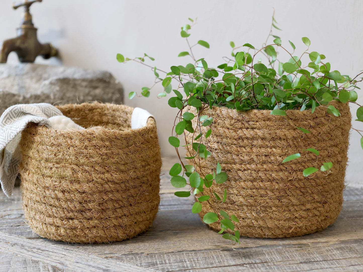Wicker Basket H18