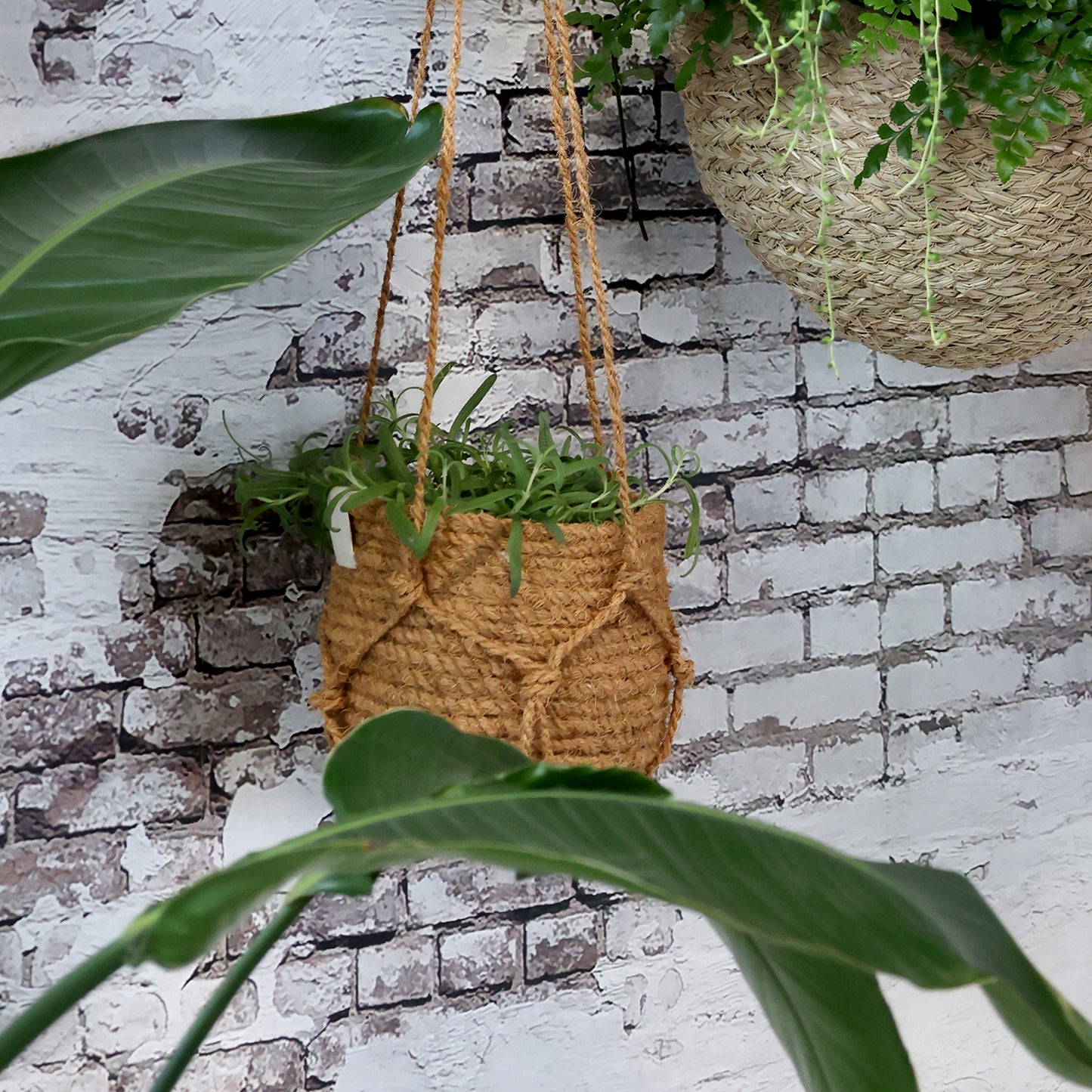 Hanging Wicker Basket H14