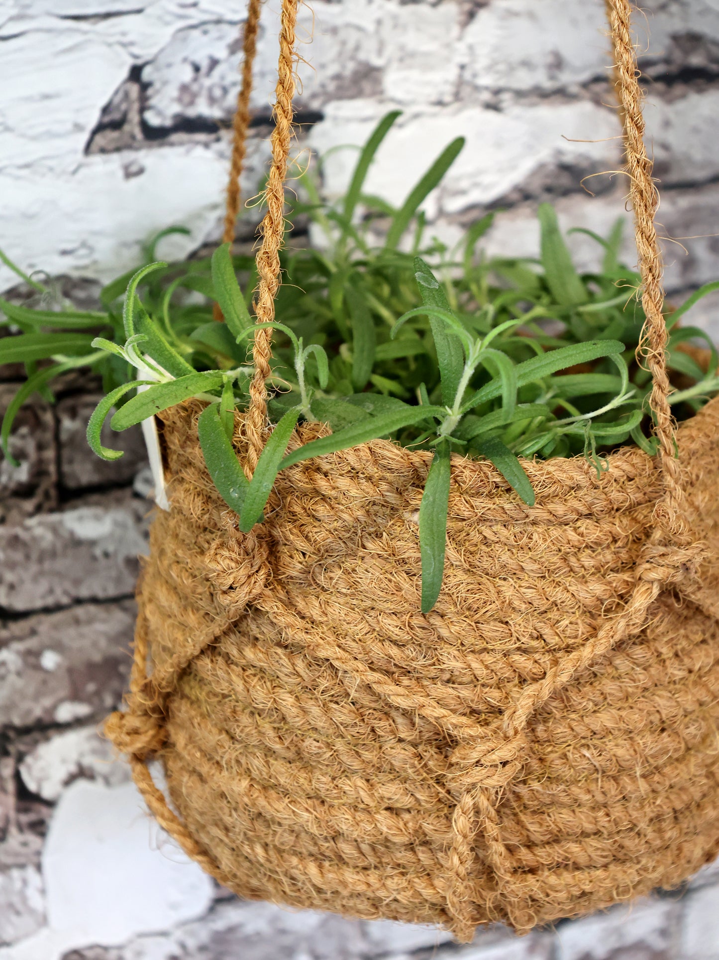 Hanging Wicker Basket H14