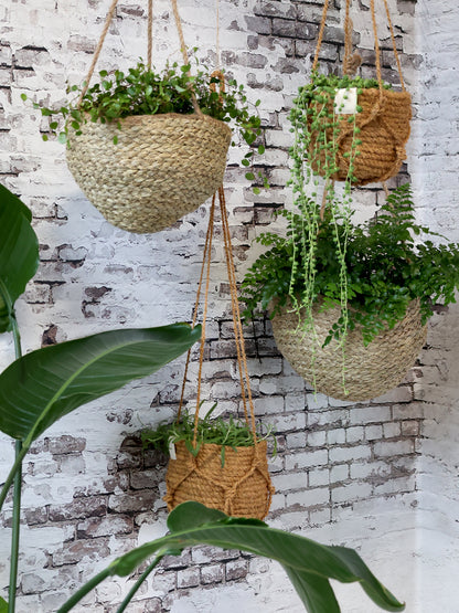 Hanging Wicker Basket H14