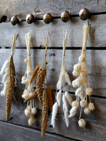 Fleur dried Seterea Flowers