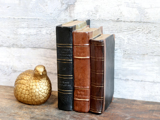 Old French Books for Deco