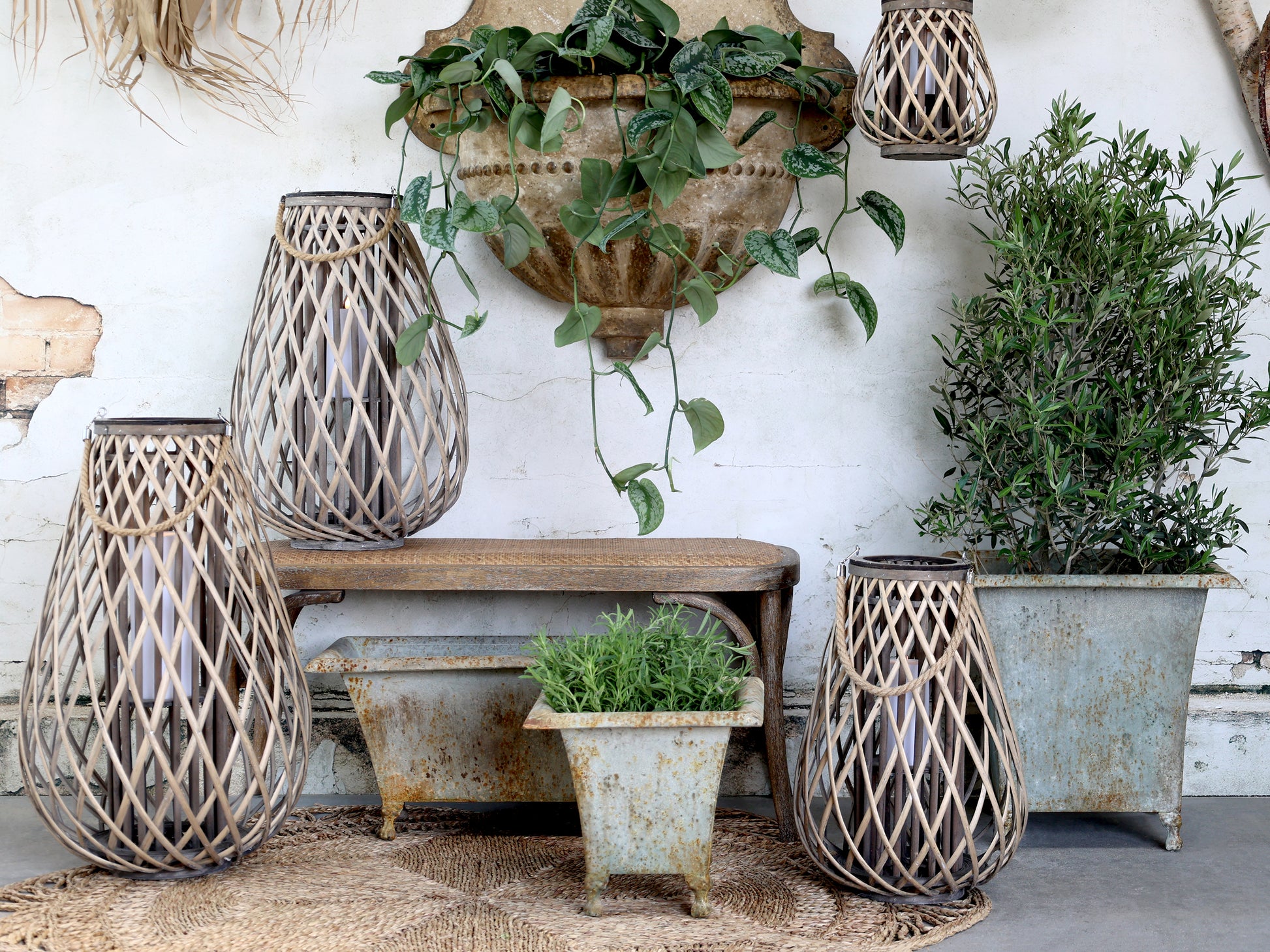 Decorative wicker lanterns and plants in a rustic setting
