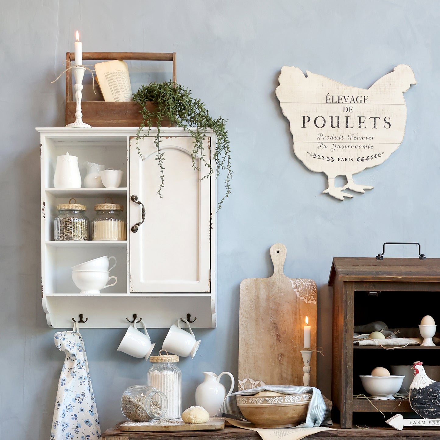 Cabinet 1 Door & Shelves
