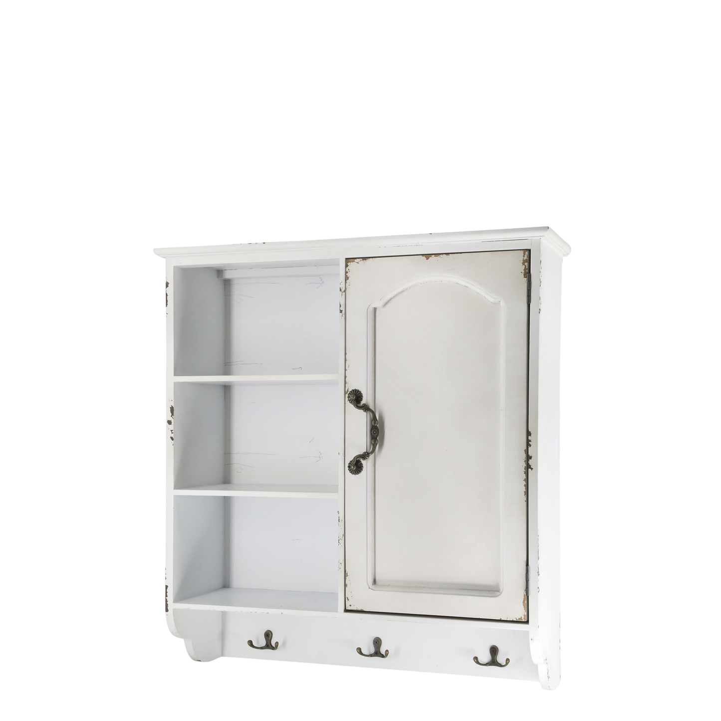 Cabinet 1 Door & Shelves