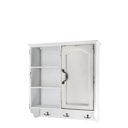 Cabinet 1 Door & Shelves