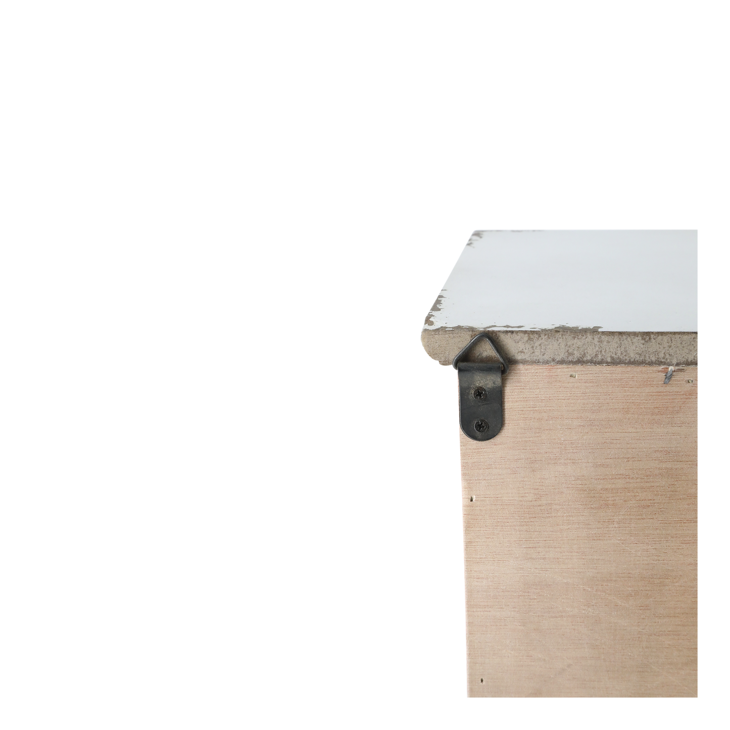 Cabinet 1 Door & Shelves
