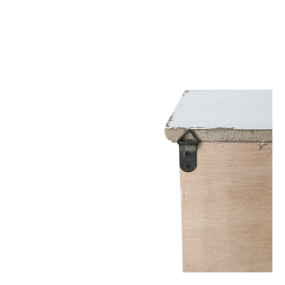 Cabinet 1 Door & Shelves