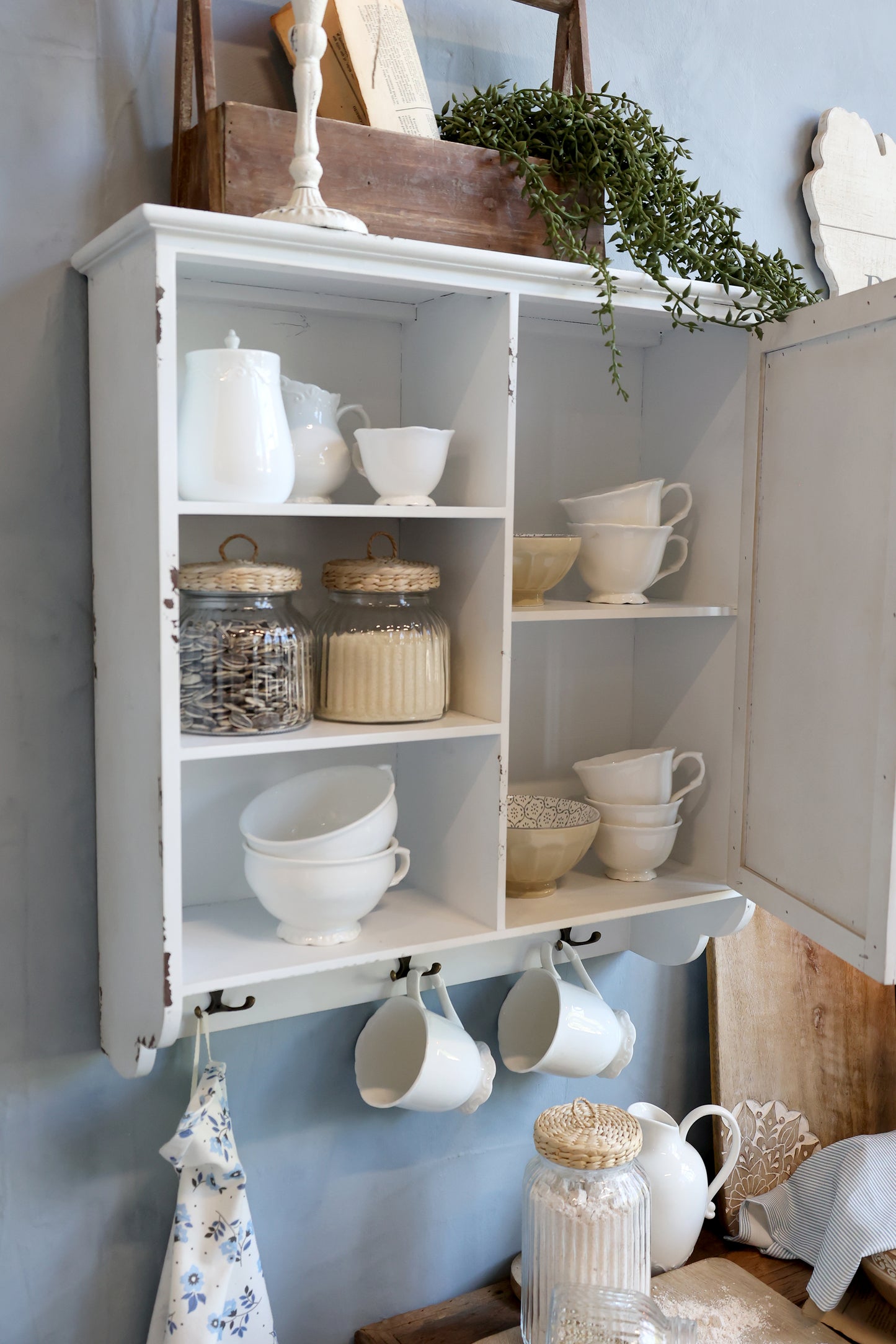 Cabinet 1 Door & Shelves