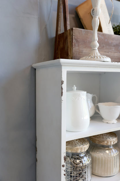 Cabinet 1 Door & Shelves