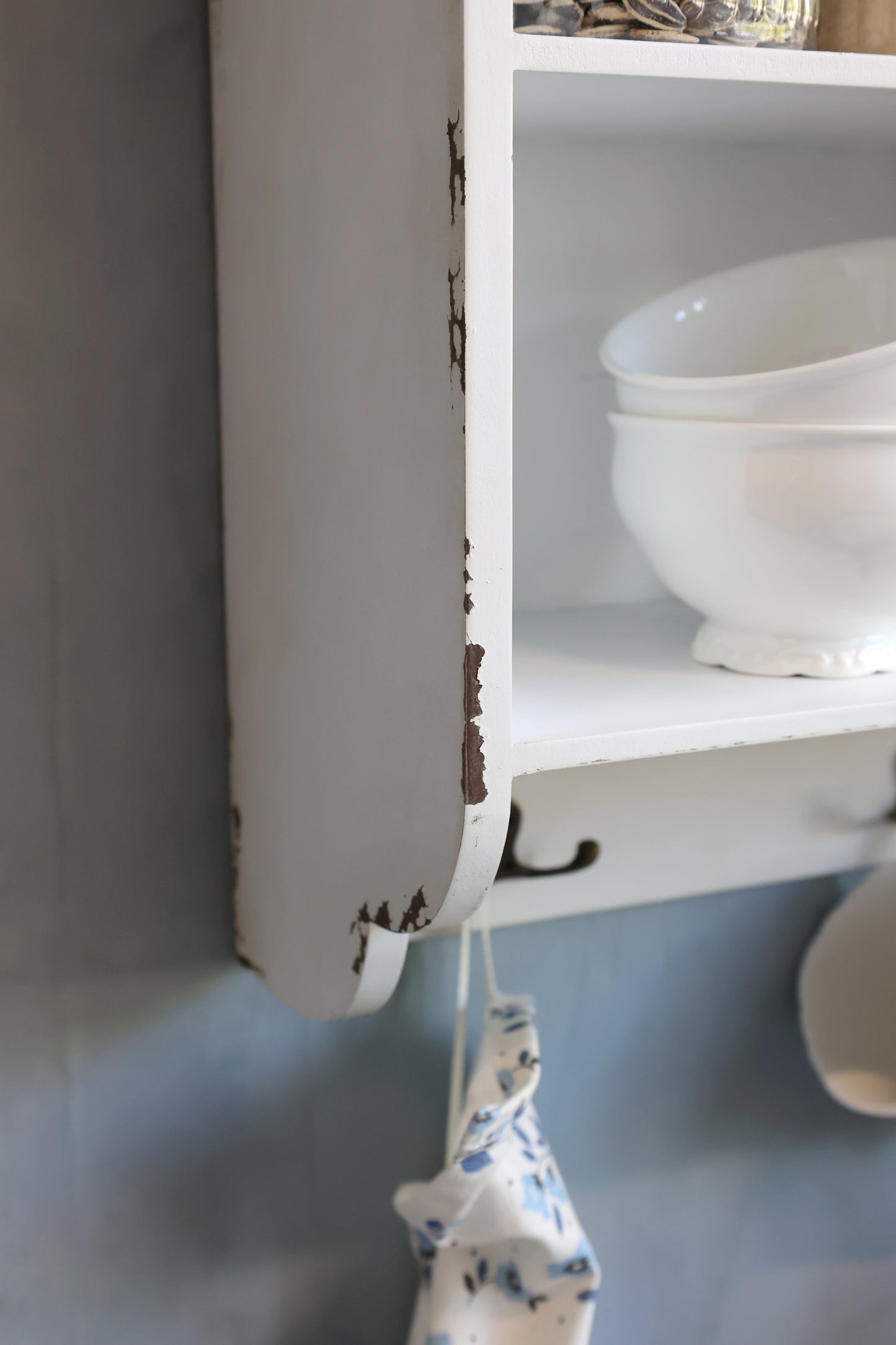 Cabinet 1 Door & Shelves