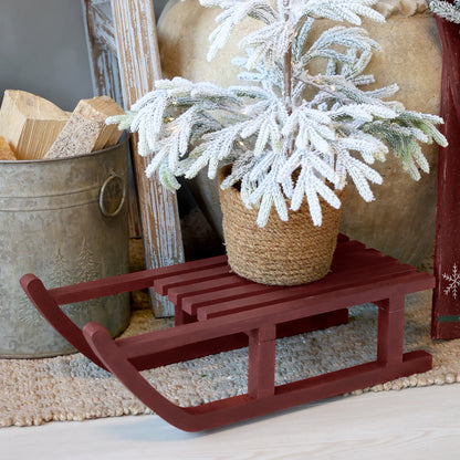 Red sled with a small potted tree on a neutral background