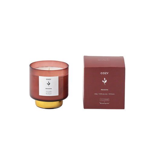 Vintage-Cedarwood scented candle 50 hour - Generosa Home & Living
