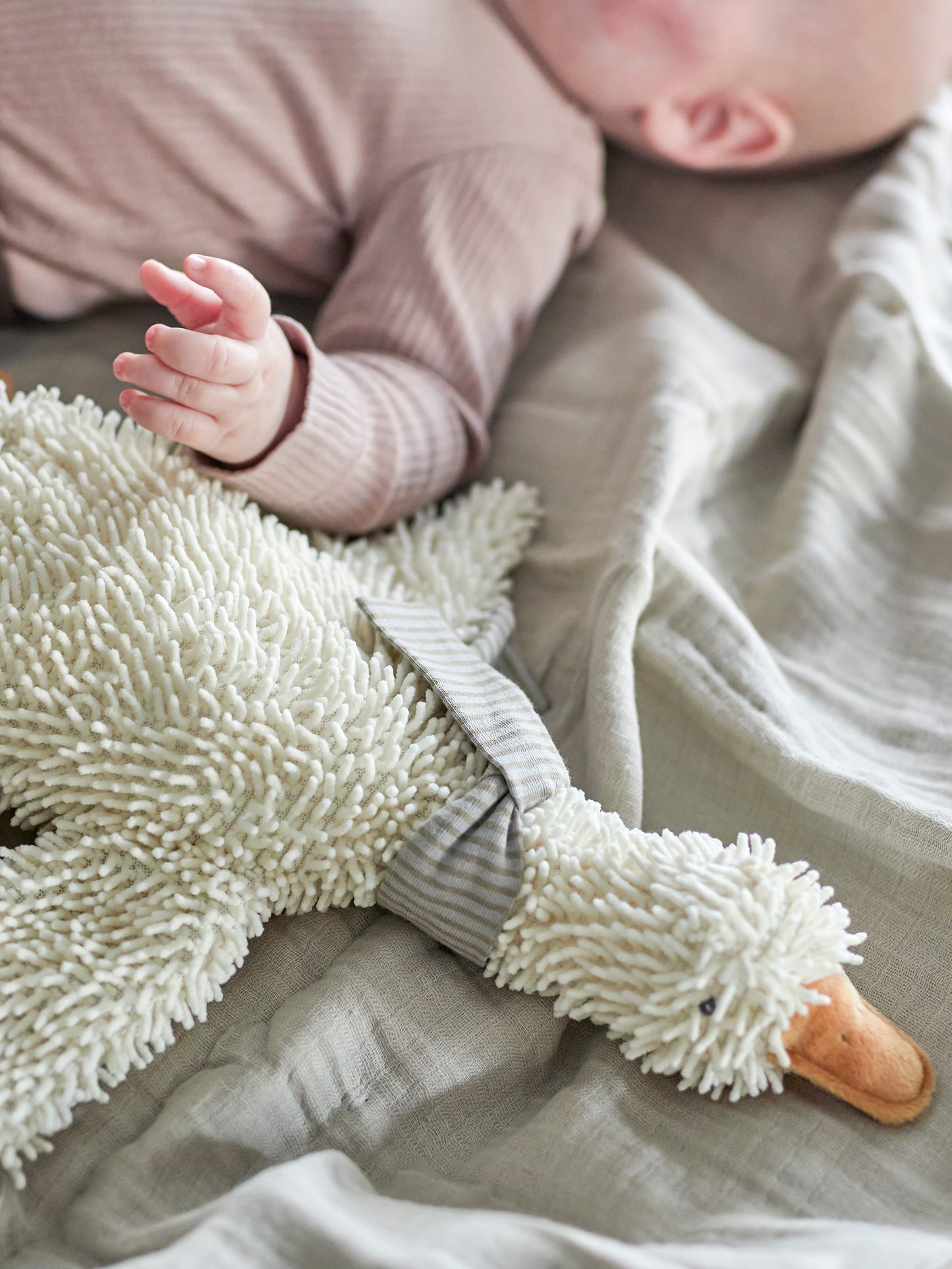 Gaspard Soft Toy