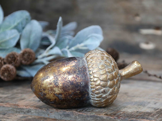 Acorn for Deco L16cm - Generosa Home & Living -  - 