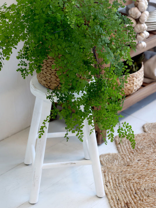 Antique White Wooden Stool (only 1 left!) - Generosa Home & Living -  - 