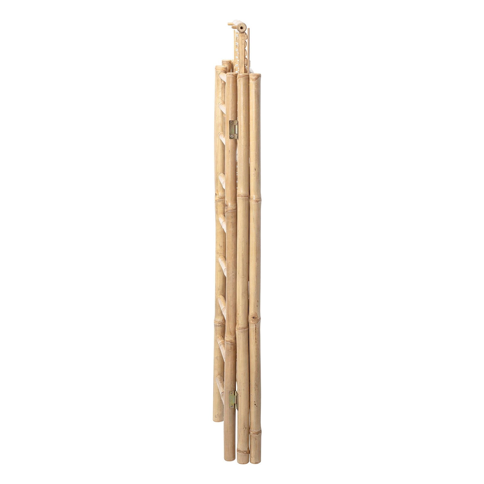 Bamboo Bookcase- Zep - Generosa Home & Living -  - 