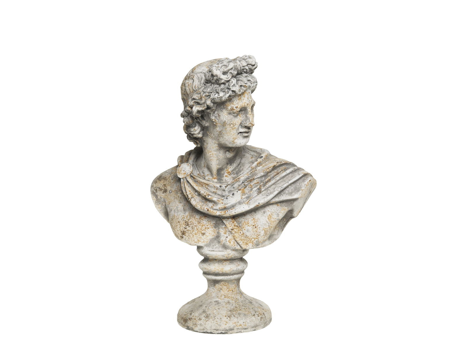 Bust Homme (only 1 left!) - Generosa Home & Living -  - 