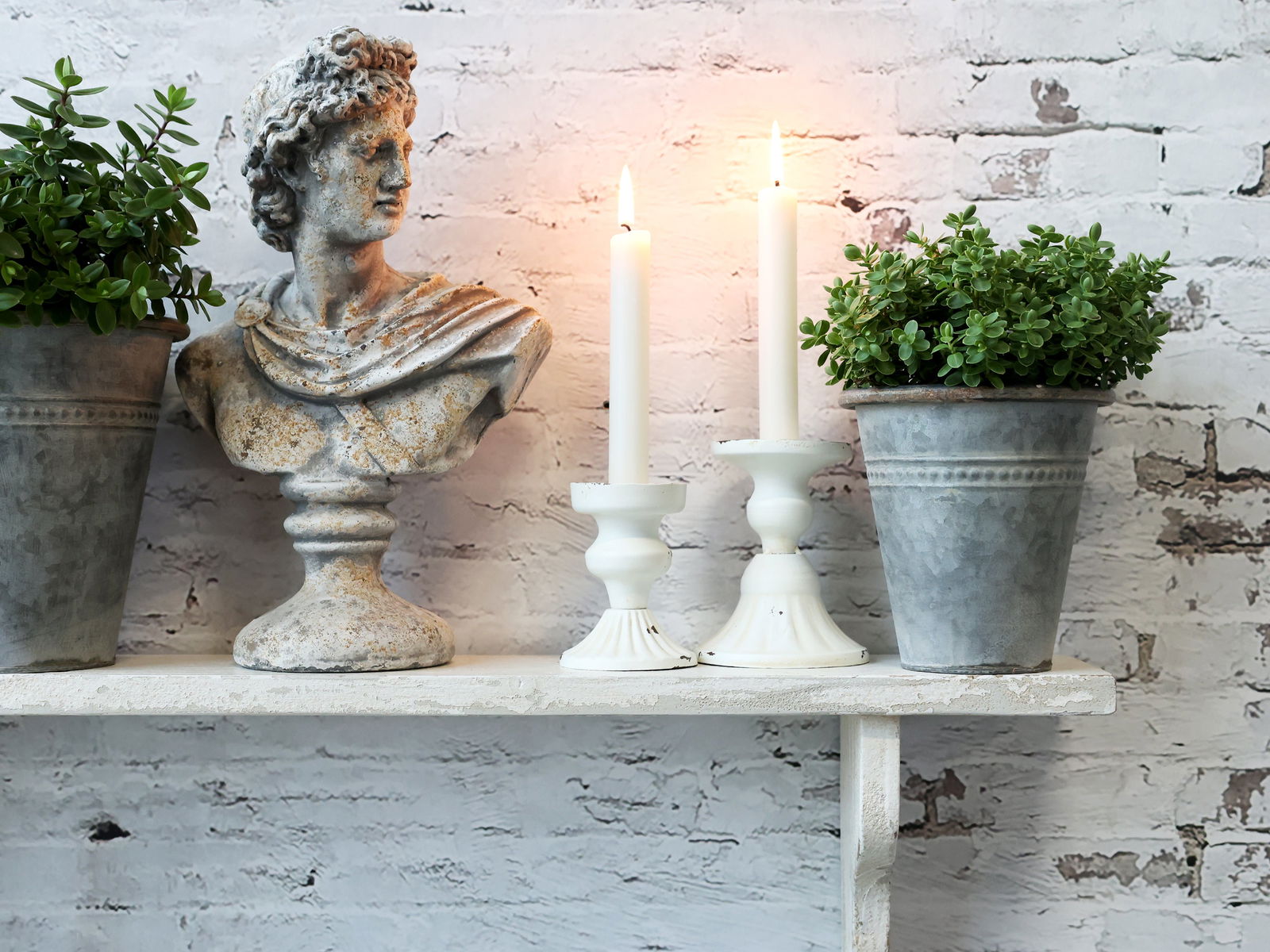Bust Homme (only 1 left!) - Generosa Home & Living -  - 