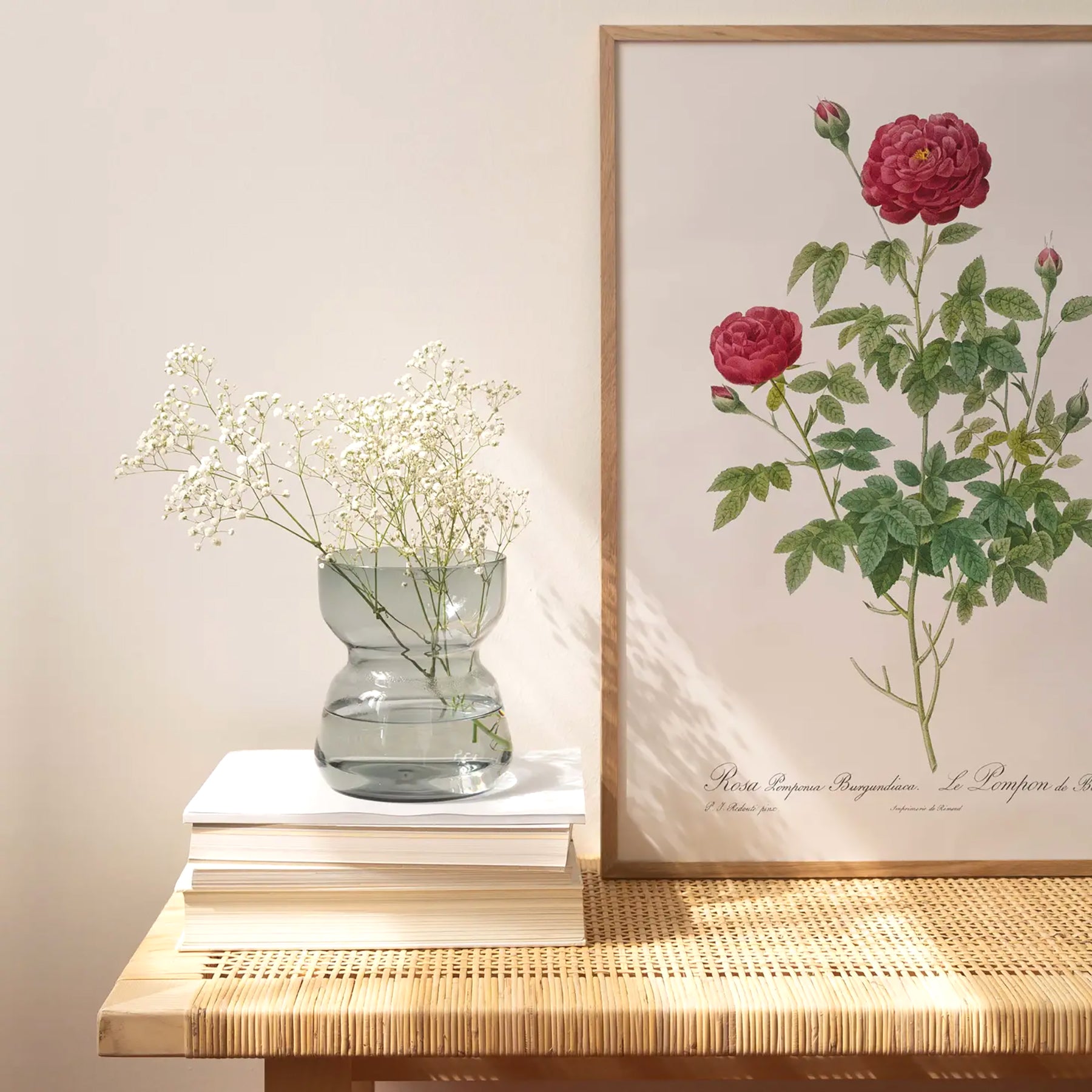 Reproduction of a botanical drawing from the book "les roses" published in 1817 and illustrated by the famous painter and botanist pierre-joseph redouté. Generosa Home and Living