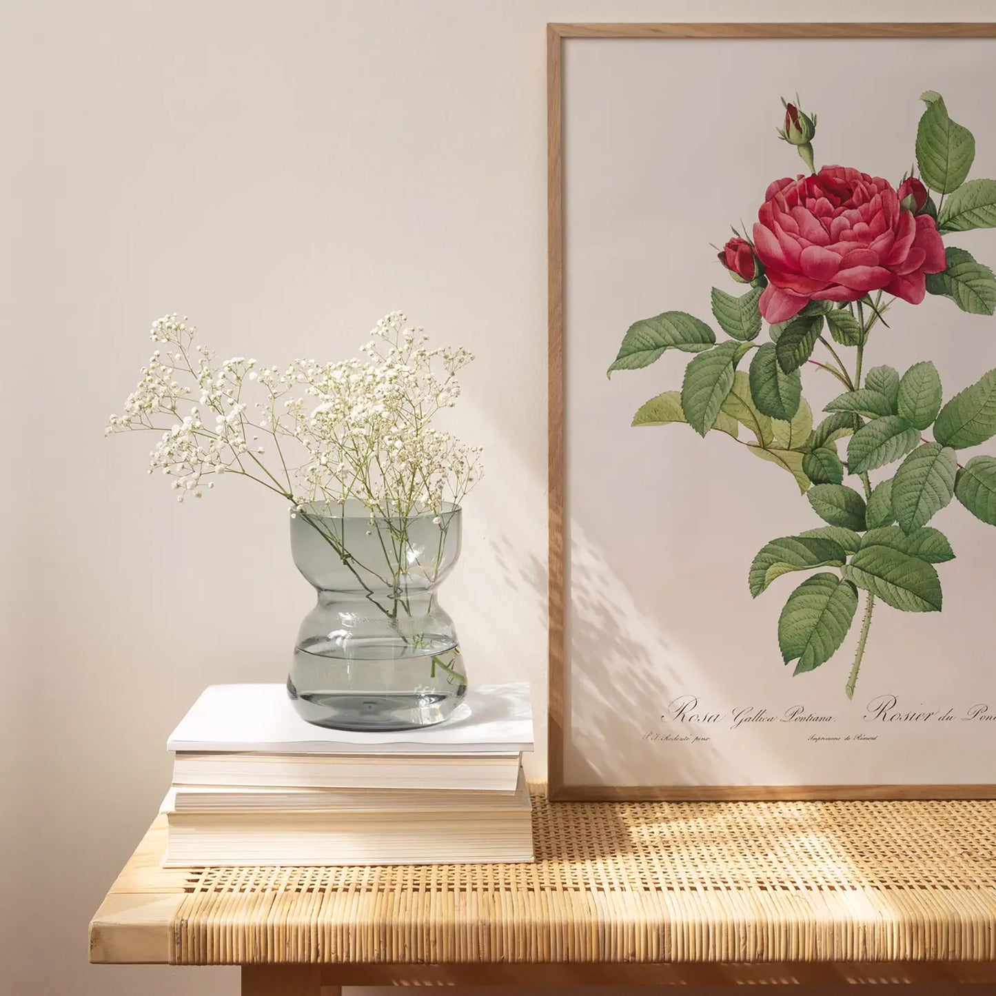 Generosa Home and Living Reproduction of a botanical drawing from the book "les roses" published in 1817 and illustrated by the famous painter and botanist pierre-joseph redouté.