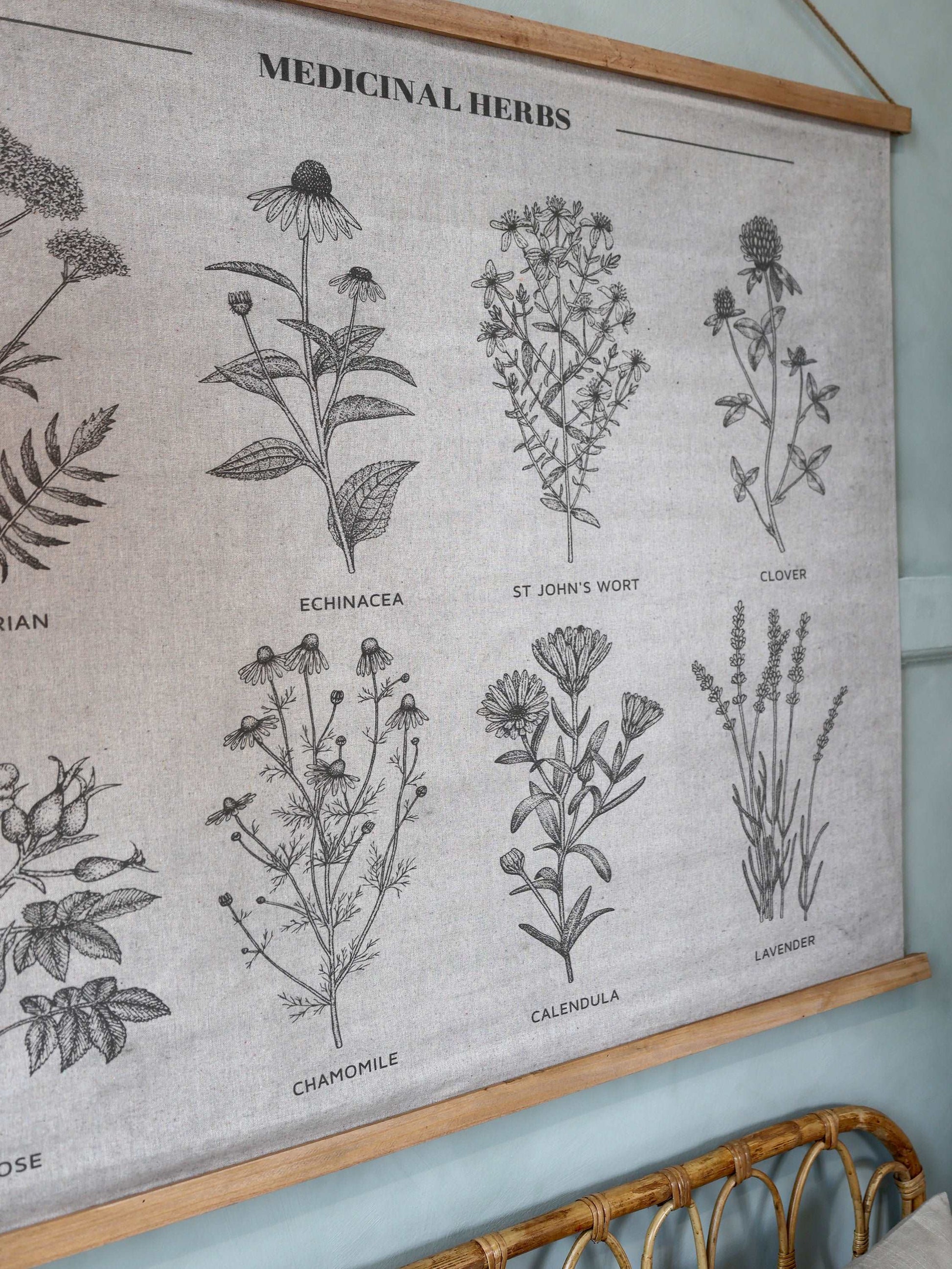 Hanging Canvas Print with Medicinal Herbs