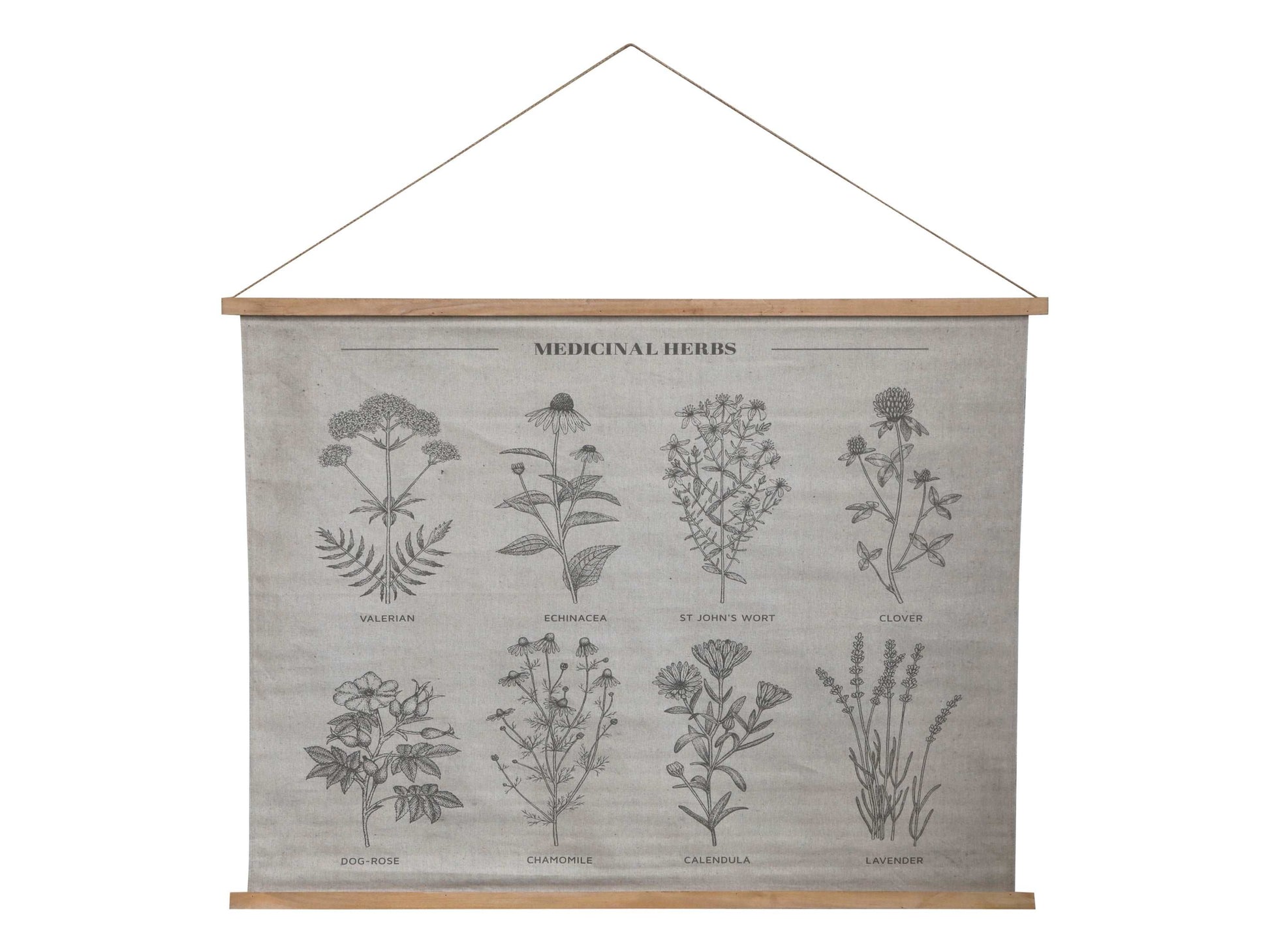 Hanging Canvas Print with Medicinal Herbs