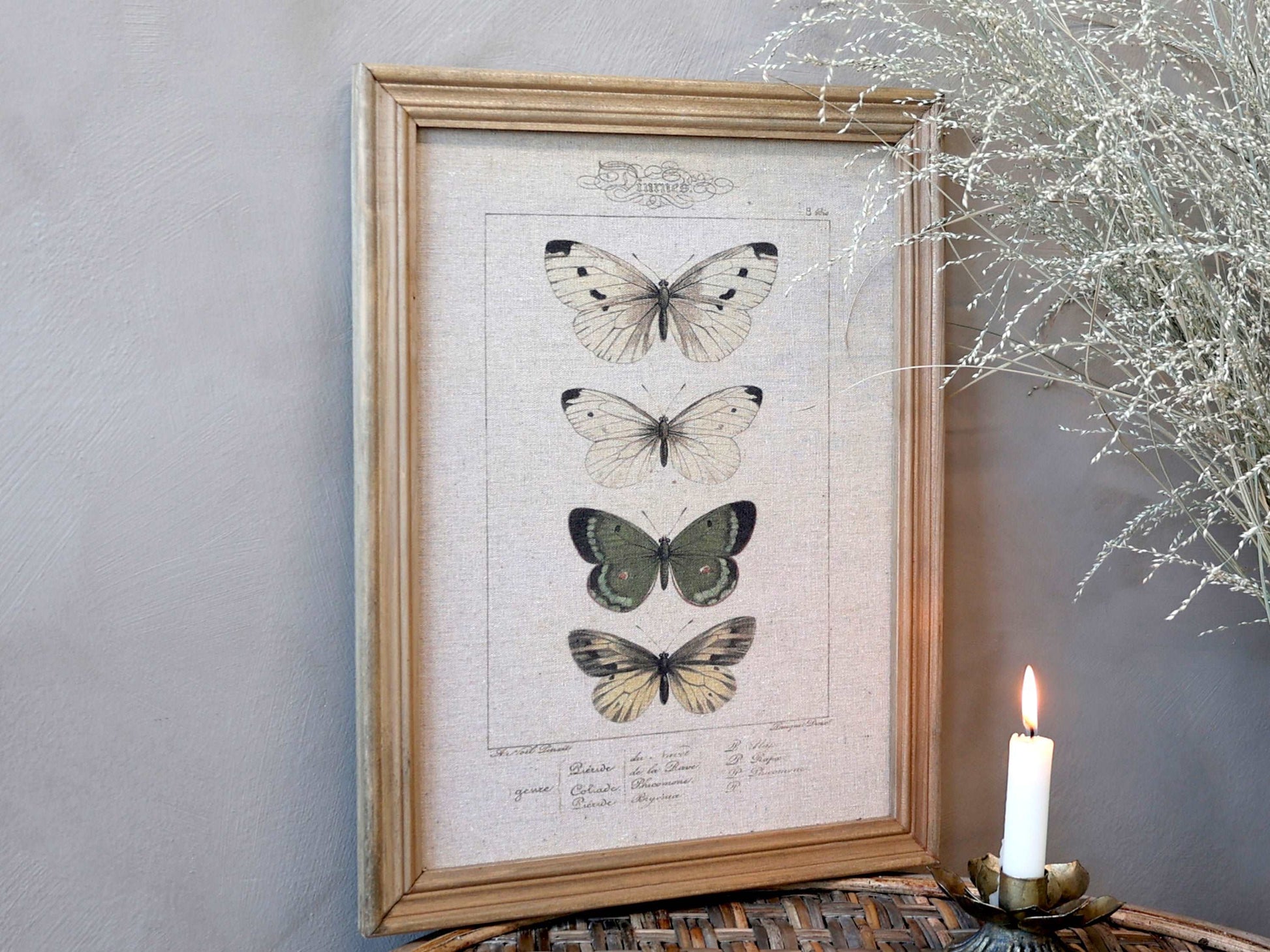 Beautiful canvas print with butterflies in wooden frame. DimensionsH43/L33/W2 cm Shop Generosa Home