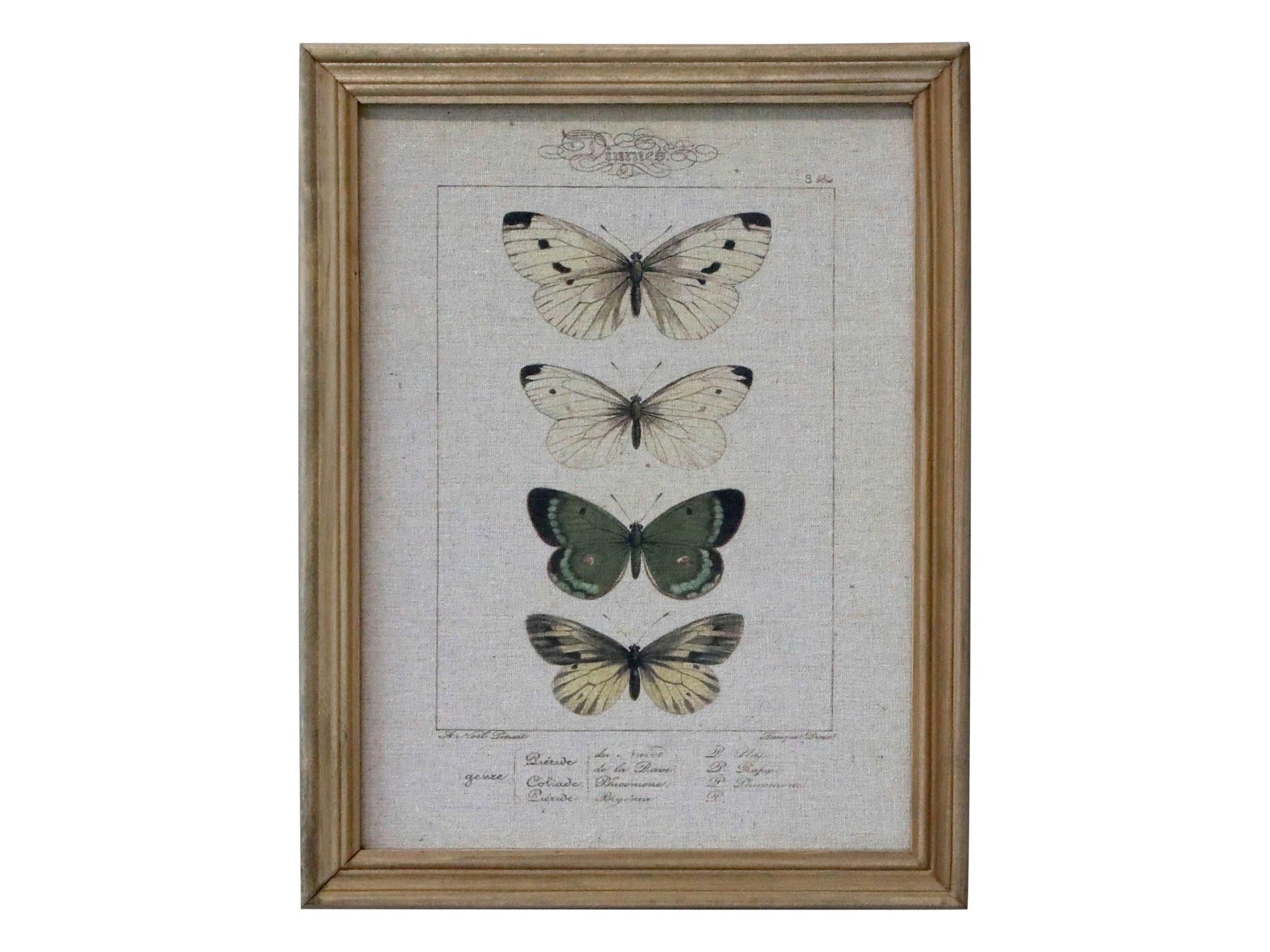 Beautiful canvas print with butterflies in wooden frame. DimensionsH43/L33/W2 cm  from Generosa Home
