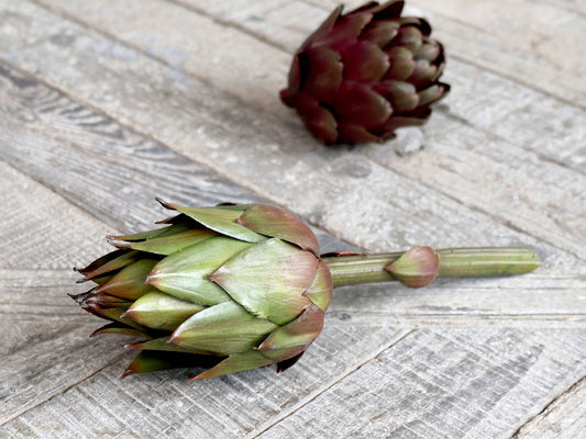 Fleur Artichoke- Long stem green