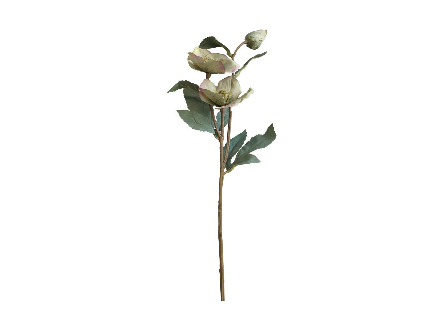 Fleur White Rose H56cm Set of 2