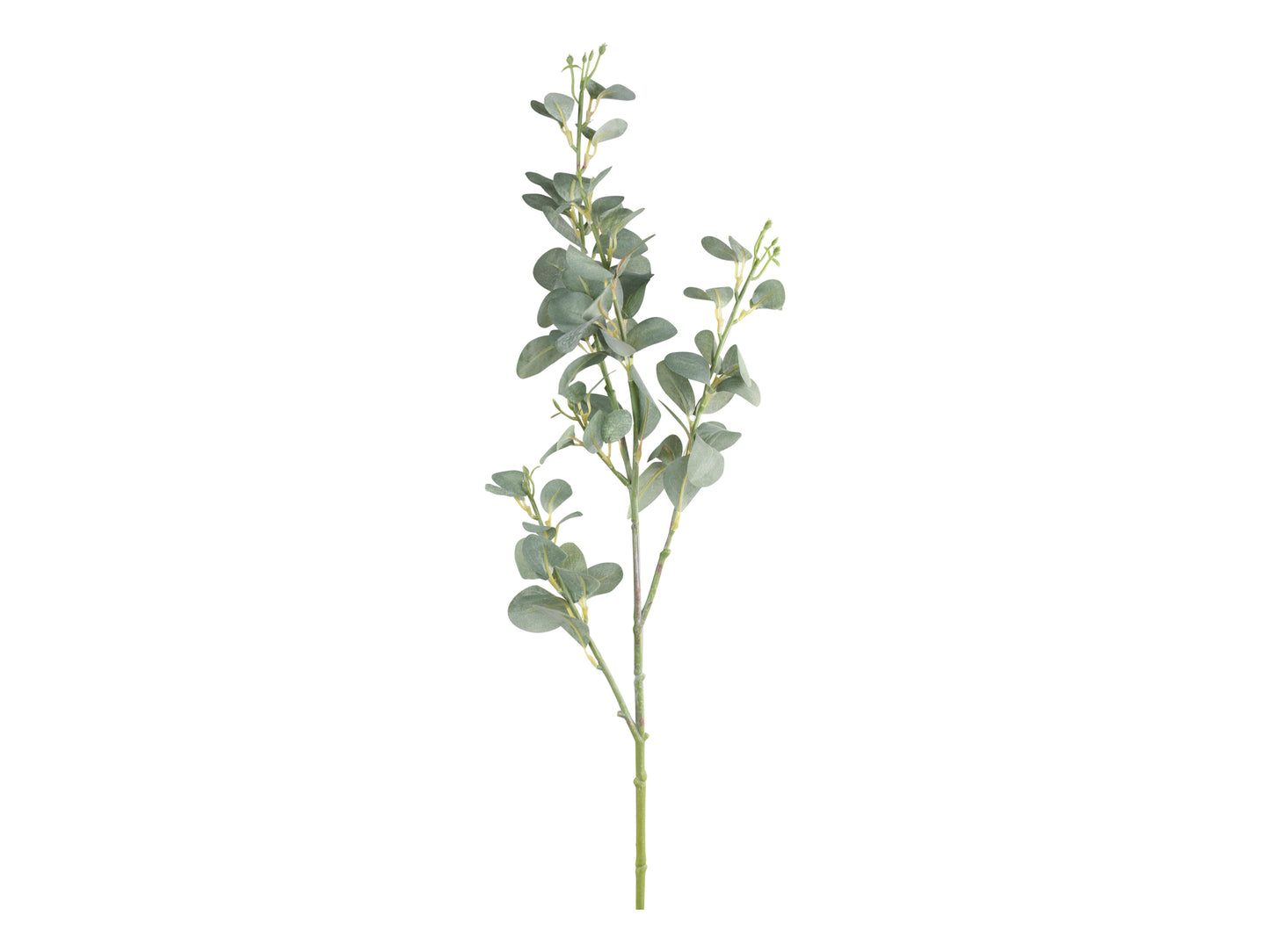Fleur Branch with Leaves freeshipping - Generosa