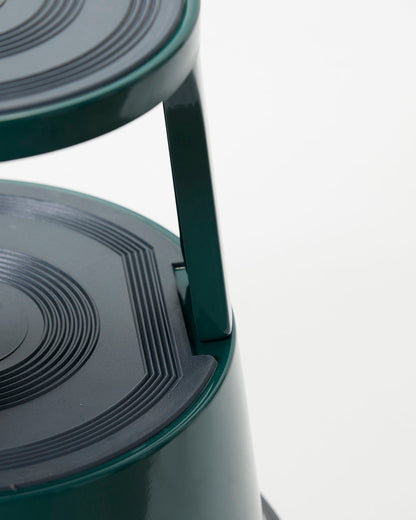 Step Up Stool- Green