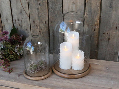 Glass Dome with Etching freeshipping - Generosa