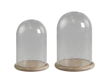 Glass Dome with Etching freeshipping - Generosa
