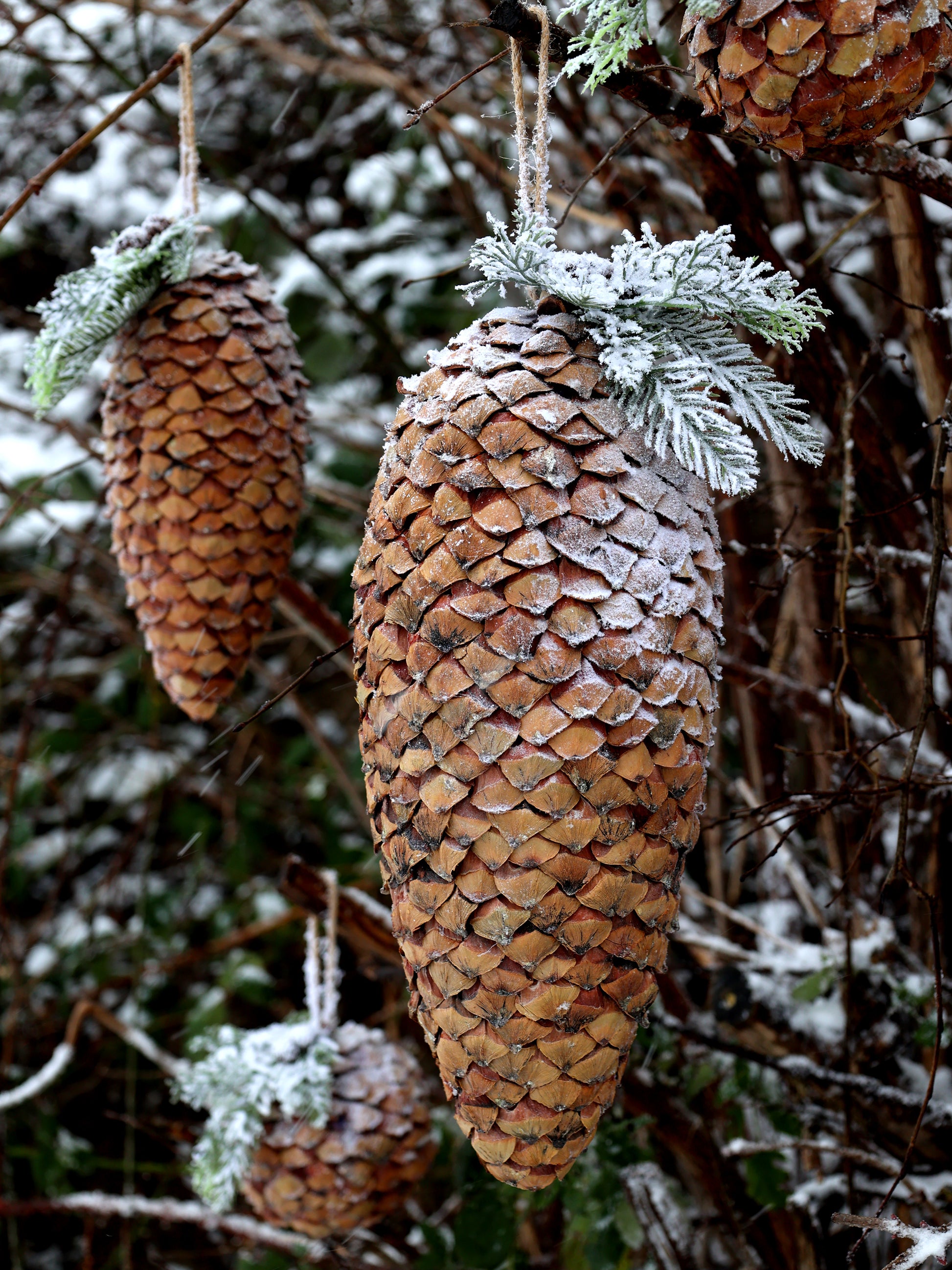 Fleur Pine Cone with Snow & Glitter freeshipping - Generosa